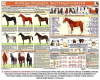 Комплект плакатов "Служебное коневодство" - fgospostavki.ru - Новоалтайск