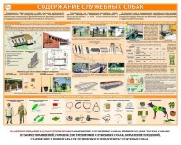 Комплект плакатов "Кинология" - fgospostavki.ru - Новоалтайск