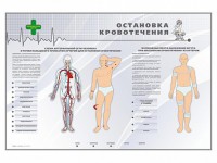 Электрифицированный стенд "Остановка кровотечения" - fgospostavki.ru - Новоалтайск