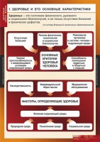 Комплект таблиц. ОБЖ. Здоровый образ жизни. - fgospostavki.ru - Новоалтайск