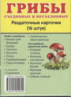 Раздаточные карточки "Грибы съедобные и не съедобные" - fgospostavki.ru - Новоалтайск