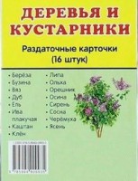 Раздаточные карточки "Деревья и кустарники" - fgospostavki.ru - Новоалтайск