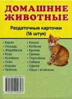 Раздаточные карточки "Домашние животные" - fgospostavki.ru - Новоалтайск