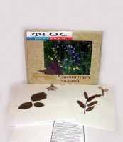 Гербарий "Дикорастущие растения" (28 видов) - fgospostavki.ru - Новоалтайск