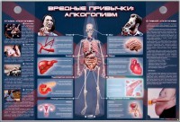 Электрифицированный стенд "Вредные привычки: алкоголизм" - fgospostavki.ru - Новоалтайск