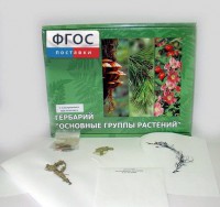 Гербарий "Основные группы растений" (52 листа) - fgospostavki.ru - Новоалтайск