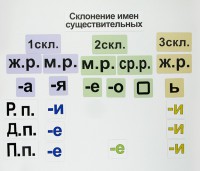 Набор магнитных карточек "Склонение имен существительных" - fgospostavki.ru - Новоалтайск