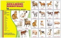 Демонстрационные карточки "Домашние животные" - fgospostavki.ru - Новоалтайск