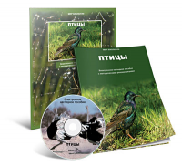 Электронное наглядное пособие «Птицы» - fgospostavki.ru - Новоалтайск