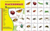 Демонстрационные карточки "Насекомые" - fgospostavki.ru - Новоалтайск