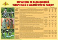 Плакат "Нормативы по радиационной, химической и биологической защите" - fgospostavki.ru - Новоалтайск