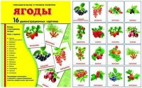 Демонстрационные карточки "Ягоды" - fgospostavki.ru - Новоалтайск