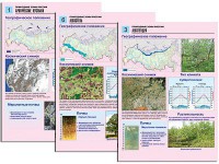 Комплект таблиц по географии "Природные зоны России" раздаточные (цветные, ламинированные, А4, 10 штук) - fgospostavki.ru - Новоалтайск