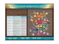 Интерактивный электрифицированный стенд "Эволюция животного мира" - fgospostavki.ru - Новоалтайск