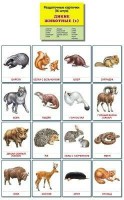 Раздаточные карточки "Дикие животные (1)" - fgospostavki.ru - Новоалтайск