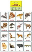 Раздаточные карточки "Дикие животные (2)" - fgospostavki.ru - Новоалтайск