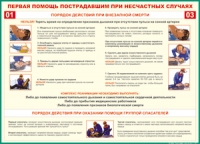 Таблица "Порядок действий при внезапной смерти" (100х140 сантиметров, винил) - fgospostavki.ru - Новоалтайск