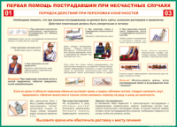 Таблица "Порядок действий при переломах конечностей" (100х140 сантиметров, винил) - fgospostavki.ru - Новоалтайск