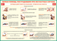 Таблица "Порядок действий при ранениях и термических ожогах" (100х140 сантиметров, винил) - fgospostavki.ru - Новоалтайск