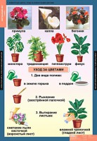 Комплект таблиц. Окружающий мир 1 класс. - fgospostavki.ru - Новоалтайск