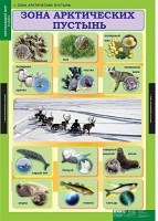 Комплект таблиц. Окружающий мир 4 класс. - fgospostavki.ru - Новоалтайск