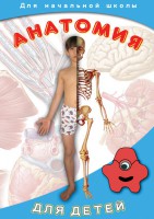 DVD "Анатомия для детей" - fgospostavki.ru - Новоалтайск