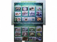 Комбинированный модульный комплекс "Лого-биолог" - fgospostavki.ru - Новоалтайск