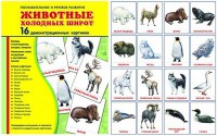 Демонстрационные карточки "Животные холодных широт" - fgospostavki.ru - Новоалтайск