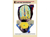 Рельефная таблица "Долька печени. Макро-микростроение" (формат А1, матовое ламинирование) - fgospostavki.ru - Новоалтайск