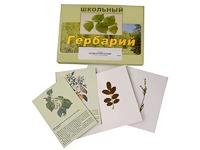 Гербарий "Деревья и кустарники" (22 вида, с иллюстрациями) - fgospostavki.ru - Новоалтайск