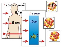 Модель-аппликация "Явление радиоактивности" (ламинированная) - fgospostavki.ru - Новоалтайск