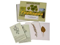 Гербарий "Лекарственные растения" (22 вида с иллюстрациями) - fgospostavki.ru - Новоалтайск