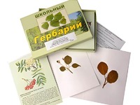Гербарий "Систематика растений. Семейство Розоцветные" (раздаточный) - fgospostavki.ru - Новоалтайск