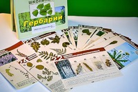 Гербарий к курсу основ общей биологии - fgospostavki.ru - Новоалтайск