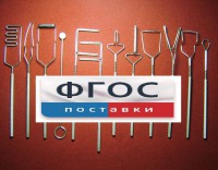 Постановочные зонды (медицинская сталь). Комплект из 12 зондов - fgospostavki.ru - Новоалтайск