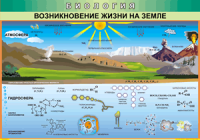 Таблица "Возникновение жизни на земле" (100х140 сантиметров, винил) - fgospostavki.ru - Новоалтайск