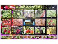 Комплект оборудования "Живой уголок" (растения) с тифлопереводом и сурдокомментариями - fgospostavki.ru - Новоалтайск
