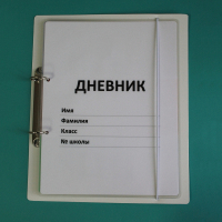 Дневник школьника (с полным набором карточек) - fgospostavki.ru - Новоалтайск
