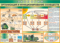 Таблица "Организация и функционирование сообществ" (100х140 сантиметров, винил) - fgospostavki.ru - Новоалтайск