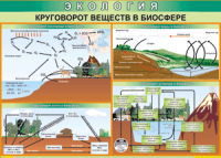 Таблица "Круговорот веществ в биосфере" (100х140 сантиметров, винил) - fgospostavki.ru - Новоалтайск