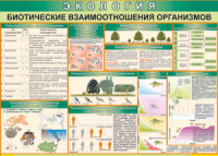 Таблица "Биотические взаимоотношения организмов" (100х140 сантиметров, винил) - fgospostavki.ru - Новоалтайск