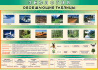 Таблица "Экология. Обобщающие таблицы" (100х140 сантиметров, винил) - fgospostavki.ru - Новоалтайск