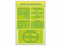 Стенды "Схемы по экономике" - fgospostavki.ru - Новоалтайск
