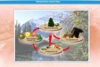 Интерактивные курсы. Биология 7 класс. Базовый. - fgospostavki.ru - Новоалтайск