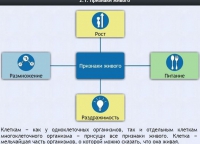 Интерактивные курсы. Биология 5 класс. Базовый - fgospostavki.ru - Новоалтайск
