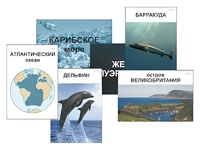 Модель-аппликация "Океаны. Знакомство" (ламинированная) - fgospostavki.ru - Новоалтайск