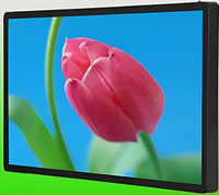 Киоск информационный настенный сенсорный 27" (вариант 1) - fgospostavki.ru - Новоалтайск