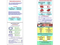 Плакаты ПРОФТЕХ "Классификации и виды мяса" (4 пл, винил, 70х100) - fgospostavki.ru - Новоалтайск