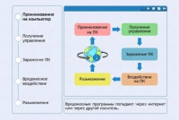 Интерактивные курсы. Информатика 10 класс . Базовый. - fgospostavki.ru - Новоалтайск