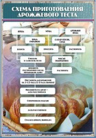 Стенд "Схема приготовления дрожжевого теста" - fgospostavki.ru - Новоалтайск